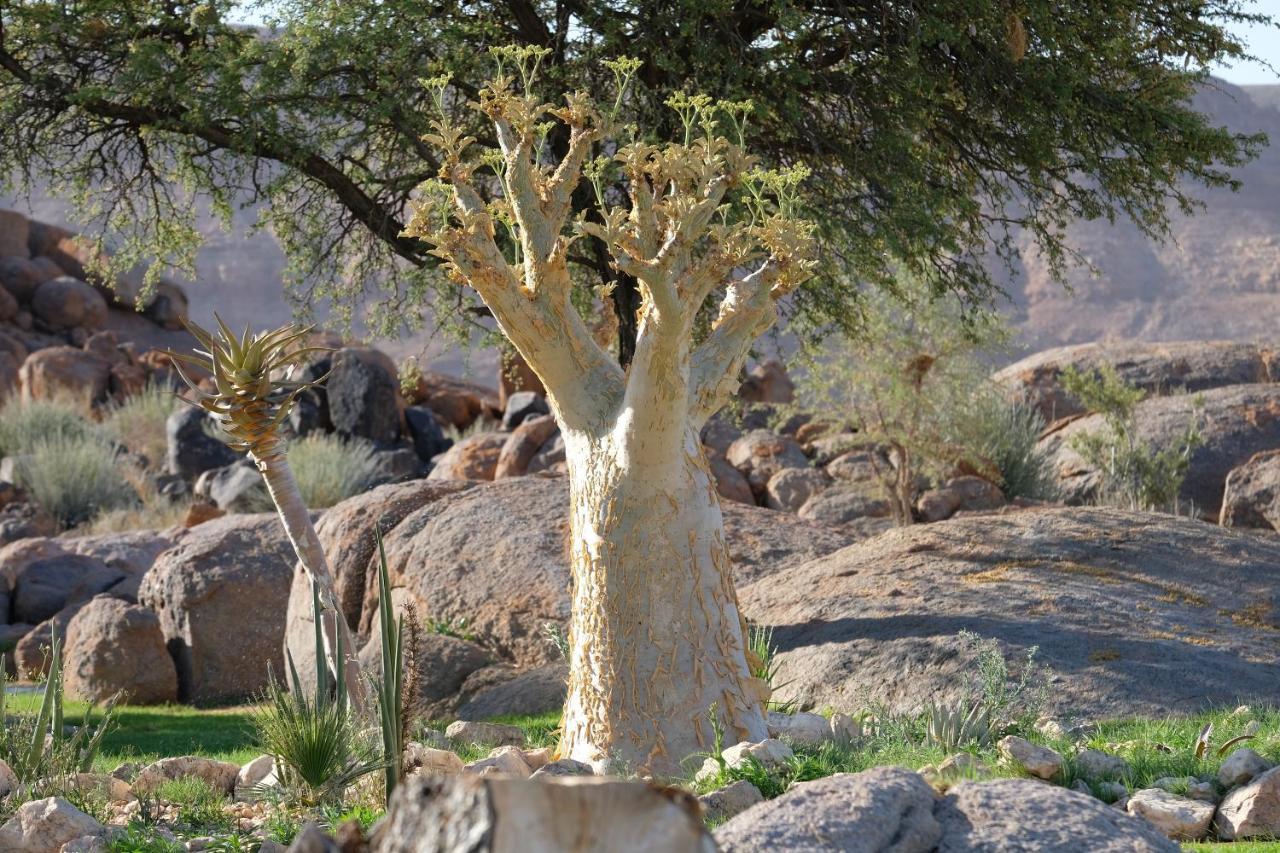 Gondwana Canyon Lodge Kanebis Bagian luar foto